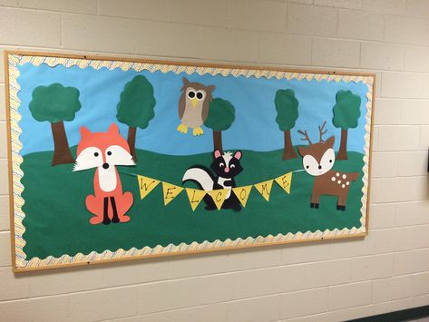 Woodland Animals Bulletin Board Welcome Back Preschool Forest Themed Bulletin Boards, Forest Themed Preschool Classroom, Woodland Animal Bulletin Board Ideas, Woodland Theme Bulletin Board Ideas, Woodland Animals Bulletin Board, Woodland Creature Bulletin Board, Forest Animal Bulletin Board Ideas, Forest Bulletin Board Ideas, Woodland Friends Classroom