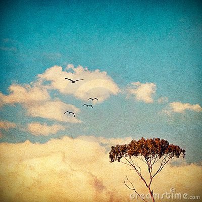 Dreamy Sky, Clouds Art, Eucalyptus Tree, Tree Tree, Cheap Bridesmaid, Sky Painting, Bridesmaid Jewelry Sets, Tree Silhouette, Nature Plants