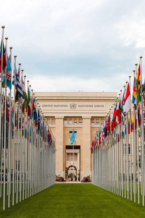 The family’s legal team facilitated the letter. United Nations Building, United Nations Headquarters, United Nation, Tent Living, Geneva Switzerland, United Nations, The Flag, Photo Mugs, Large Picture