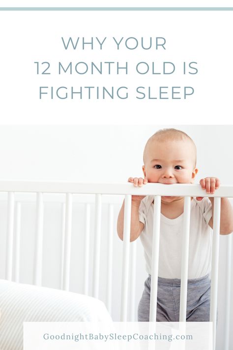 12 Month Old Sleep Schedule, 12 Month Sleep Schedule, Developmental Leaps, 12 Month Sleep Regression, Goodnight Baby, Baby Penelope, Sleep Training Methods, Baby 12 Months, Baby Routine