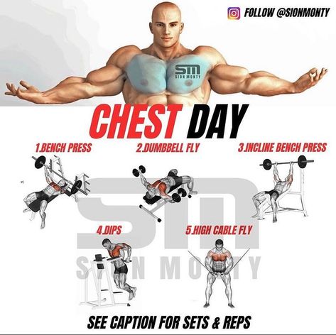 5 Day Workouts, Ectomorph Workout, Chest Workout Routine, Chest Day, Best Chest Workout, Gym Antrenmanları, Workout Splits, Gym Workout Chart, Chest Workouts