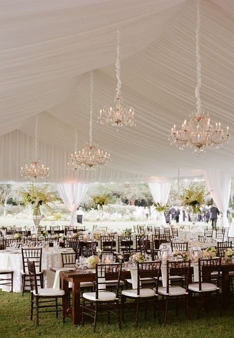 outdoor tented wedding reception ideas with chandeliers decorated Wedding Decorations With Lights, Outdoor Wedding Backdrop Ideas, Wedding Reception Ideas Indoor, Wedding Tent Layout, Wedding Tent Lighting, Outdoor Wedding Backdrop, Wedding Backdrop Ideas, Outdoor Wedding Backdrops, Outdoor Tent Wedding