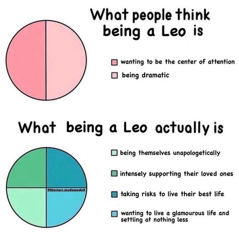 Virgo Meaning, Leo Meaning, What Is A Virgo, Infj Enneagram, Virgo Memes, Virgo Love, Virgo Quotes, Leo The Lion, Study Related