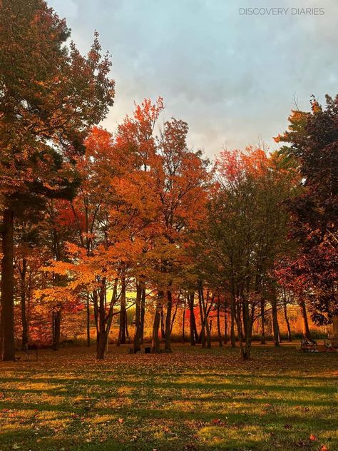 Maine In The Fall, In The Fall, The Fall, New England, Maine, Best Friends, I Am Awesome, England