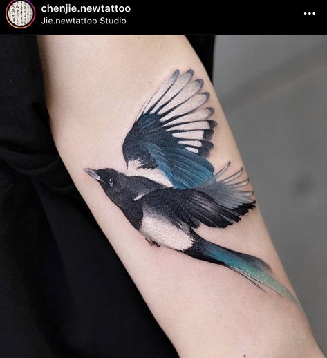 Black Bird Tattoos For Women, Corvid Tattoo, Bluejay Tattoo Black And White, Tiny Magpie Tattoo, Magpie Back Tattoo, Blue Bird Tattoo Black And White, Black Billed Magpie Tattoo, Bird Of Paradise Tattoo, Magpie Tattoo