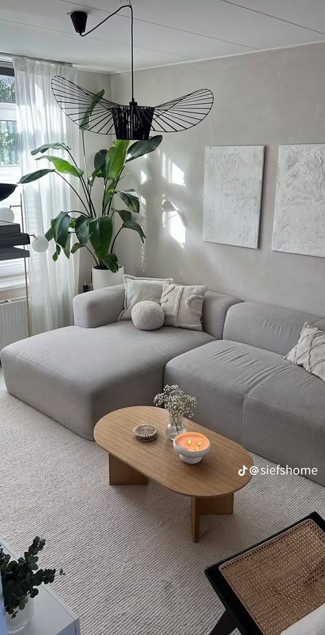 Grey Couch Natural Living Room, Grey Couch Grey Carpet, Apartment With Grey Couch, Apartment Living Room Grey Floors, Grey L Couch Living Room, Gray Couch Aesthetic, Carpet Apartment Living Room, Living Room Light Gray Couch, Grey Couch Apartment