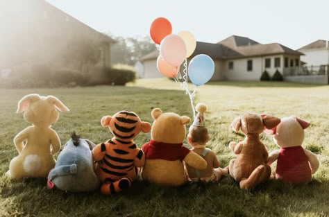 Levi Birthday, Pooh Cake, Baby Birthday Photoshoot, Baby Milestones Pictures, Winnie The Pooh Themes, Idee Babyshower, 1st Birthday Pictures, 1st Birthday Photoshoot, Winnie The Pooh Birthday