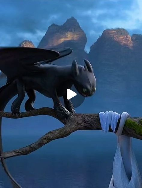 TOOTHLESS AND HICCUP on Instagram: "HTTYD🤩🖤 ~~~~~  HOW TO TRAIN YOUR DRAGON ~~~~~~~~~~   Don’t forget to get follow and like👍🏼❤️ ~~~~~~ #howtotrainyourdragon ⌁ #httyd ⌁ #toothless ⌁ #howtotrainyourdragon3 ⌁ #nightfury ⌁ #httyd3 ⌁ #howtotrainyourdragon2 ⌁ #httyd2 ⌁ #hiccup ⌁ #lightfury ⌁ #dragon ⌁ #dreamworks ⌁ #httydfandom ⌁ #toothlessthedragon ⌁ #StatStory #httydhiddenworld #howtotrainyourdragonedit #httyd1 #toothlessandhiccup #gif" Toothless Sleeping, Lightfury Dragon, How To Draw Toothless, Toothless Toy, Toothless And Hiccup, Toothless Drawing, Httyd Toothless, Httyd 2, Httyd 3