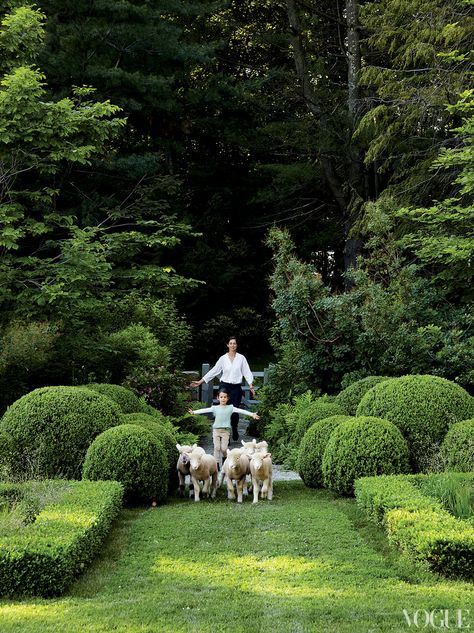 sheep love Miranda Brooks, Low Maintenance Yard, Farm Living, Video Garden, Garden Ideas Cheap, Formal Gardens, Small Space Gardening, Gorgeous Gardens, Green Garden