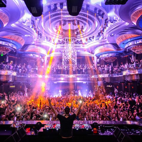 10 Things You Don’t Know About the Most Insane New Nightclub in Las Vegas Omnia Nightclub, Las Vegas Night Clubs, Caesars Palace Las Vegas, Vegas Clubs, Vegas Nightlife, Alphabet Tattoo, Las Vegas Clubs, Alphabet Tattoo Designs, Vegas Night