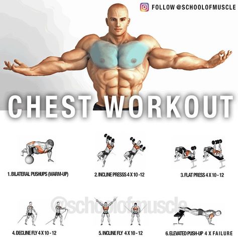 5,739 Likes, 57 Comments - School Of Muscle (@schoolofmuscle) on Instagram: “✅New Chest Workout! (As Requested) . . .  'Save' It For Next Chest Day! . . ✅ Chest Still…” Chest Routine, Chest Workout Routine, Chest Day, Workout Man, Chevy 4x4, Small Gym, Best Chest Workout, Gym Antrenmanları, Gym Buddy