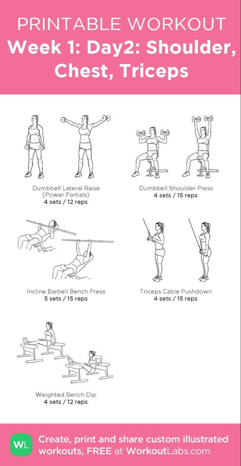 Chest Shoulder Tricep Workout, Shoulder And Tricep Workout, Shoulder Tricep Workout, Tricep And Shoulder Workout, Tricep Workout Women, Gym Weights Workout, Shoulder Workout Women, Chest And Shoulder Workout, Workout Female