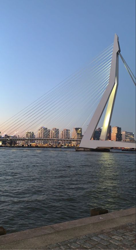 Midyear Reset, Rotterdam Aesthetic, Erasmus Bridge, Bridge Watercolor, Bridge Structure, Move Abroad, Sky Pictures, Gap Year, Painting Wallpaper