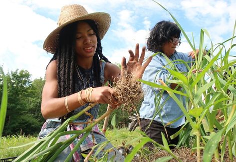 Strengthening Food Sovereignty Movements - Cornucopia Institute Appalachian Farm, Afro Indigenous, Wholesome Aesthetic, Earth Magick, Food Sovereignty, Ceres Fauna, Vegetable Farming, Future Farms, Natural Ecosystem