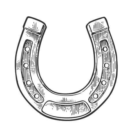 Horse Shoe Drawing, Info Graphic Poster, Shoe Tattoo, Horse Shoe Tattoo, Shoe Tattoos, Theme Tattoo, Old School Tattoo Designs, Engraving Illustration, Horseshoe Art