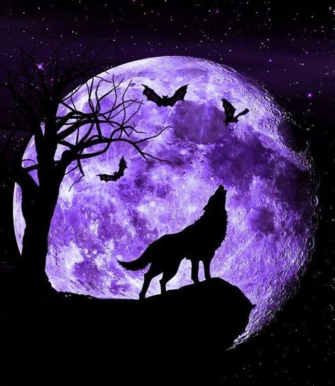 Purple Saturn Aesthetic, Purple Wolf Wallpaper, Purple Wolf Aesthetic, Purple Moon Aesthetic, Wolf Purple, Spirit Wolf, Shadow Wolf, Werewolf Aesthetic, Howling At The Moon