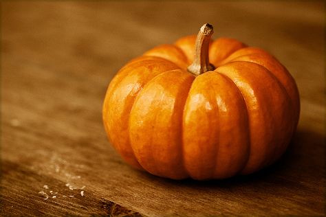 fall, via Flickr. Pumpkin Reference Photo, Pumpkin Reference, Pumpkin Background Wallpapers, Pumpkins Wallpaper, Carpet Ideas 2023, Pumpkin Photography, Pumpkin Background, Vegetable Painting, Pumpkin Wallpaper