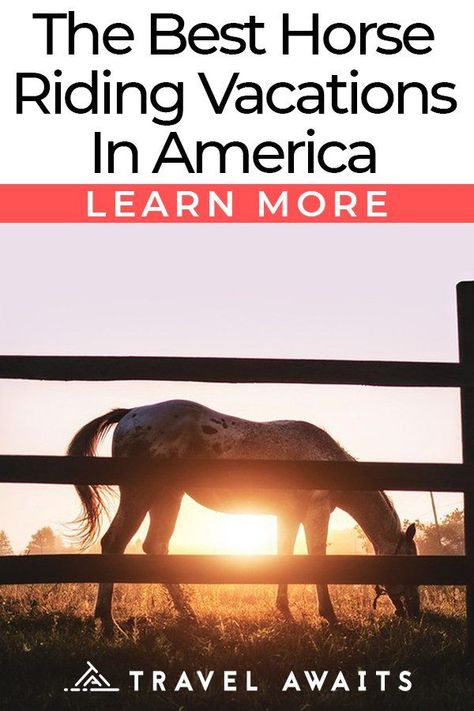 The Best Horse Riding Vacations In America Pretty Vacation Spots, Horseback Riding Vacations, Farm Vacation, George Morris, Equestrian Problems, Creepy Ghost, Cities To Visit, Horse Training Tips, Barrel Horse