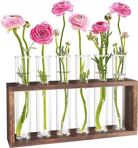 Amazon.com: Veakoo Plant Terrarium with Wooden Stand, Desktop/Wall Hanging Live Plant Propagation Station Planters Glass Tubes Hydroponic Vase Air Planter Holder for Indoor Office Home Garden Decor (6 Test Tubes) : Patio, Lawn & Garden Hanging Glass Planters, Plant Propagation Station, Hanging Glass Terrarium, Planter Holder, Propagation Station, Plant Terrarium, Hydroponic Plants, Plant Propagation, Test Tubes