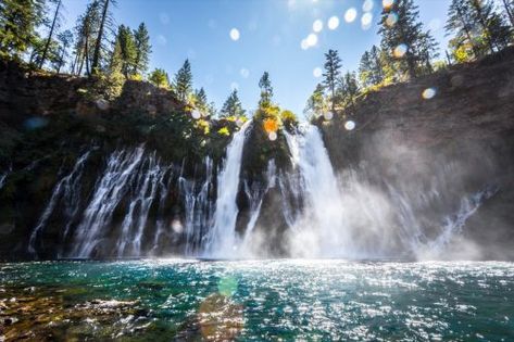 Highway Of Waterfalls Oregon, Burney Falls, El Yunque National Forest, Tongass National Forest, National Photography, Capitol Reef National Park, Landscape Photographers, National Forest, Nature Photos