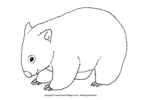 wombat printables | Wombat colouring page Possum Magic, Animal Colouring, Animal Templates, Australia Animals, Colouring Page, Australian Animals, Cat Crafts, Animal Crafts, Animal Coloring Pages