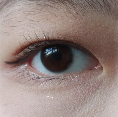 Different Asian Eye Shapes, Asian Eye Color, Chinese Eye Drawing, Tapered Eyelids Aesthetic, Asian Eyes Aesthetic, Eye Shapes Reference, Dnd Circus, Chinese Eyes, Korean Eyes