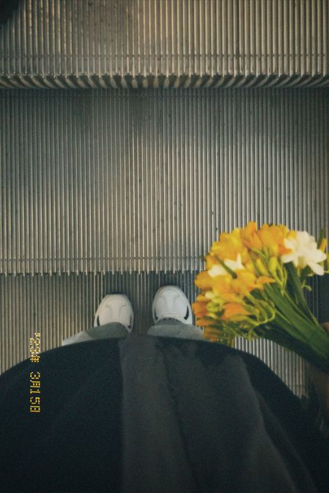 Эстетика цветы aesthetic Dazz cam Photo Flowers Film Cam Aesthetic, Dazz Cam Filters, Dazz Cam Aesthetic, Dazz Cam, Film Camera Photography, Grey Makeup, Appeasement, Flower Photoshoot, Human Anatomy Art