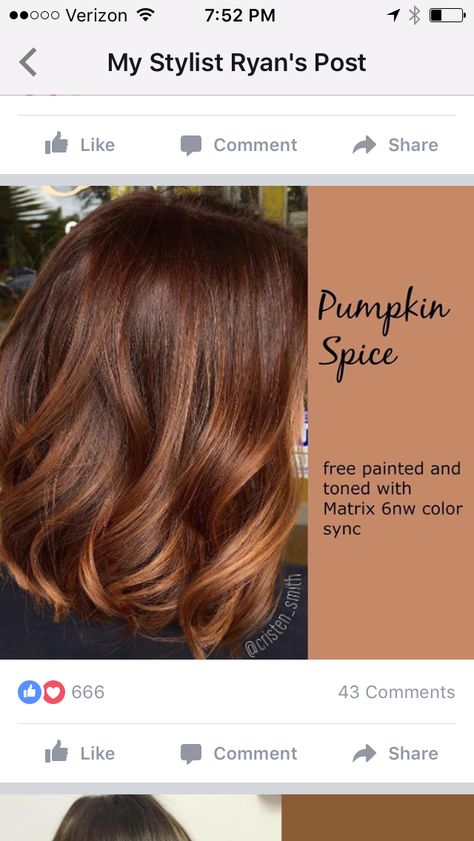 Pumpkin Spice Hair, Red Brown Hair, Red Highlights, Winter Hair Color, Trendy Hair Color, Hair Color And Cut, Auburn Hair, Hair Color Balayage, Winter Hairstyles