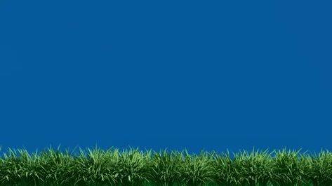 Isolated Grassfield with Wind on Blue Screen Background Chroma key Blue Screen Background, Screen Background, Blue Screen, Chroma Key, Green Screen, Stock Video, Stock Footage, Screen, Key