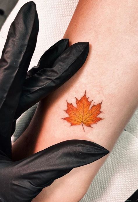 Small Leaf Tattoo Chinar Leaf Tattoo, Fall Themed Tattoos For Women, Fall Leaf Tattoo Autumn, Pumpkin And Fall Leaves Tattoo, Canadian Leaf Tattoo, Canada Leaf Tattoo, Fall Leaves Tattoo Autumn, Red Leaf Tattoo, Canada Flag Tattoo