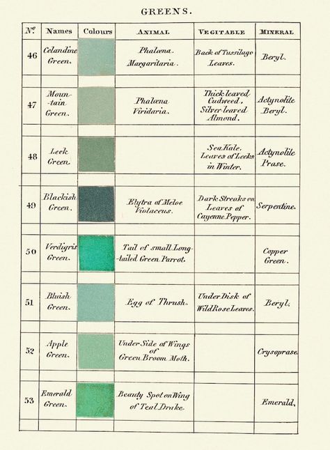 New Paint Colors, Color Guide, Brand Color Palette, Color Palate, Color Studies, Historical Art, Color Theory, Book Aesthetic, Natural World