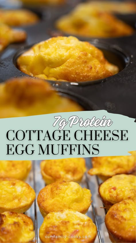 Looking to meal prep a high-protein breakfast? Try these Cottage Cheese Egg Muffins! They’re packed with protein and perfect for busy mornings, keeping you full and energized. Follow @ourfamilycooks for more recipe ideas! SAVE this pin for the future! This will be loved by your kids. #toddlerbreakfast #eggmuffins #mealprepping #cottagecheese #MealPrep #HighProtein #CottageCheeseEggMuffins #HealthyBreakfast Cottage Cheese Egg Muffins, Breakfast Cottage Cheese, High Protein Low Carb Breakfast, Breakfast Egg Muffins, Cottage Cheese Breakfast, Cottage Cheese Eggs, Egg Bites Recipe, Cheese Breakfast, High Protein Breakfast