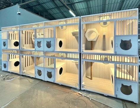 Cat Hotel Design Ideas, Cattery Designs, Pet Hotel Ideas, Cat Hotel Design, Cat Hotel Ideas, Cattery Ideas Cat Room, Cattery Ideas, Pet Hotel Design, Cat Daycare