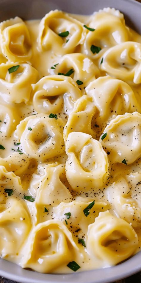 Creamy Asiago Cheese Tortellini – Chasety Five Cheese Tortellini Recipes, Mac And Cheese Ideas, Creamy Tortellini Pasta, Asiago Recipes, Asiago Pasta, Asiago Cream Sauce, Gluten Free Tortellini, Asiago Cheese Recipes, Cheese Tortellini Recipes