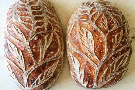 People Are Turning Sourdough Bread into a Feast for the Eyes—and We're Obsessed Bread Scoring, Basic Cookies, Vintage Cakes, Bread Art, Summer Cakes, Rye Bread, Toasted Pecans, Crusty Bread, Artisan Bread