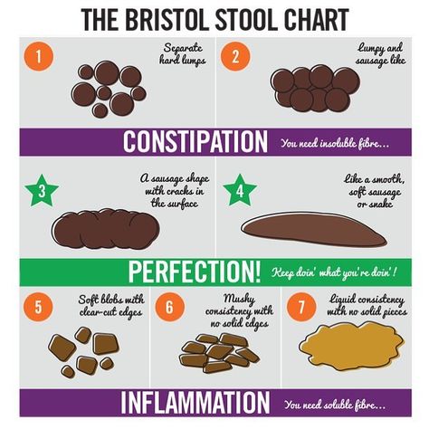 Adam Bisek, CSCS’s Instagram post: “💩Know Your S@*$💩 • This user friendly info graphic of the Bristol Scale is a great tool to assess the health of your doodoo. • All too…” Bristol Stool, Bristol Stool Chart, Stool Chart, Fruit Diet, Bowel Movement, Constipation Relief, Soluble Fiber, Fitness Ideas, Leaky Gut