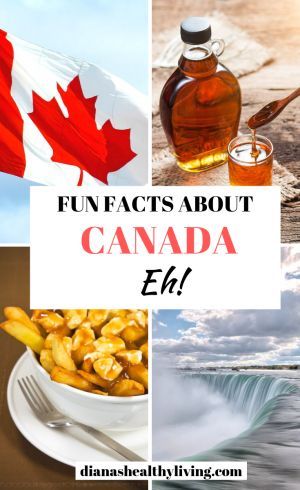 World Thinking Day Canada, Canada Facts, Canada Activities, Canada Culture, Canada Facts For Kids, Canadian Facts, Fun Facts About Canada, Canada For Kids, Facts About Canada