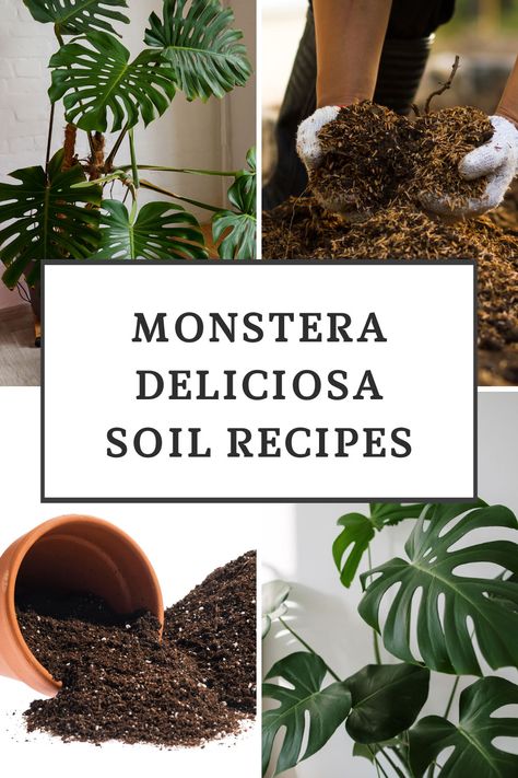 Soil Mix For Monstera Deliciosa, Plant Soil Indoor, Potting Mix For Monstera, Monstera Potting Soil, House Plant Soil Recipe, Monstera Plant Soil, Monstera Potting Mix Recipe, Soil For Monstera Plant, Best Soil For Monstera Plant