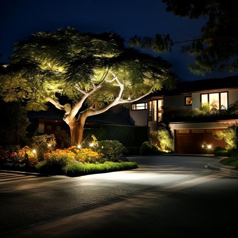 Front Sidewalk Landscaping, Sidewalk Landscaping Ideas, Side Of Driveway Landscaping, Driveway Landscaping Ideas, Sidewalk Landscaping, Lit Trees, Beautiful Driveways, Driveway Edging, Gravel Pathway