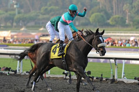 Zenyatta Horse, American Pharoah, Derby Winners, Santa Anita, Breyer Horse, Race Horse, Horse Names, Churchill Downs, All About Horses