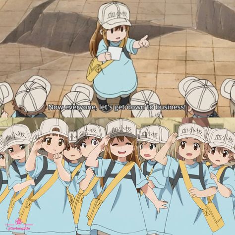 Cells At Work Characters, Platelets Cells At Work, Cells At Work, White Blood Cells, Code Black, Fan Edits, Anime Wall Art, Cosplay Costumes, Cool Girl