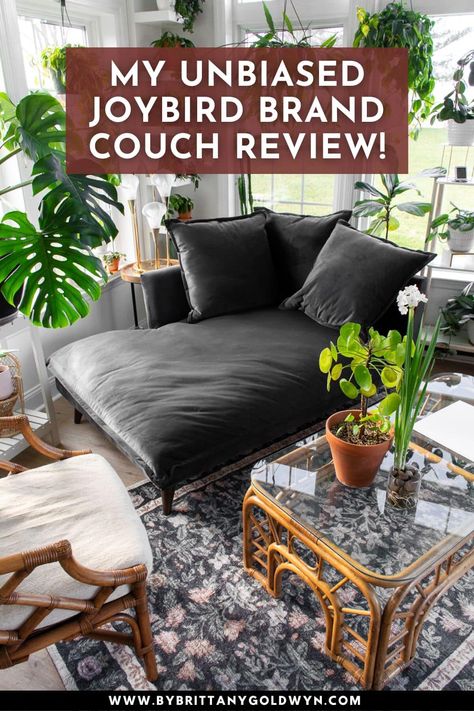 Looking for an unbiased Joybird sofa review? I bought the Denna single arm chaise in velvet Royale Gunmetal, and I'm providing my review of the ordering process, shipping, and the couch itself. One Arm Couch, Joy Bird Couch, Comfy Sofa Living Rooms Deep Couch, Cozy Sofa Deep Couch, Joybird Furniture Living Rooms, Home Sunroom, Joybird Couch, Comfy Sofa Living Rooms, Article Couch