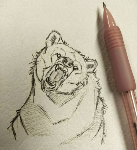 Elora on Instagram: “A quick bear sketch . . . #art #drawings #animalart #sketch #artgallery #animaldrawing #bear #grizzlybear #draw #drawingsketch…” Bear Drawing Scary, Bear Growling Drawing, Cool Bear Drawings, Grizzly Bear Drawing Sketches, Charging Bull Drawing, Bear Sketch Drawing, Bear Art Reference, Bear Eyes Drawing, Scary Bear Drawing