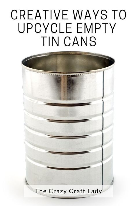 Metal Cans Ideas Diy, Metal Cans Ideas, Big Tin Can Crafts, Paint Cans Repurpose, Soup Can Crafts Diy, Crafts With Cans Ideas, Recycled Tin Cans Diy Ideas, Diy Aluminum Can Crafts, Formula Can Crafts Diy