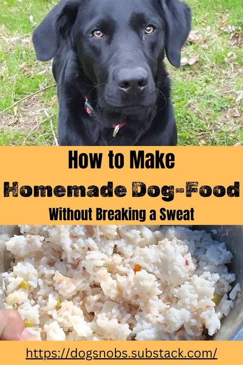 How To Make Homemade Dog-Food Without Even Breaking A Sweat Homemade Dog Food On A Budget, Meal On A Budget, Food On A Budget, Diy Dog Food, Homemade Foods, Livestock Guardian, Avoid Processed Foods, Raw Dog Food Recipes, Raw Food Diet