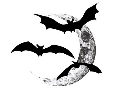 Bats Rib Tattoo, Moon Bats Tattoo, Crescent Moon With Bats Tattoo, Bat Tattoo On Ribs, Bat And Moon Drawing, Moon With Bats Tattoo, Moon Bat Tattoo, Moon And Bats Tattoo, Bat And Moon Tattoo