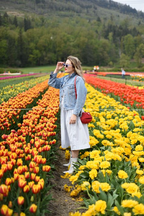 Abbotsford Tulip Festival - The Pretty Secrets Tulip Festival Outfit Ideas, Tulip Festival Outfit, Festival Outfit Ideas, Abbotsford Bc, Spring Photoshoot, Tulip Festival, Spring Trip, Amazing Views, Girl Guides