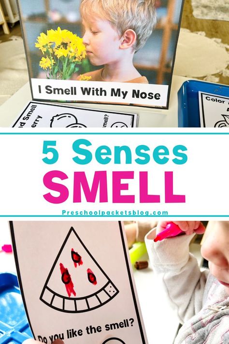 Want to teach the sense of smell during your 5 Senses week? Here is how I used scented markers and Jello to teach my kids about the sense of smell! 5 Senses Preschool, Scented Markers, Our Five Senses, Five Senses Preschool, 5 Senses Activities, Senses Preschool, My Five Senses, Senses Activities, The Five Senses