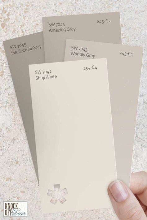 White Chocolate Paint Color, Paint Colour Bedroom, Bedroom All One Color, Shoji White Trim Exterior, White Wall Gray Trim, Shoji White Mood Board, Shoji White Paint Palette, Coordinating Colors With Shoji White, Sw Shoji White Cabinets