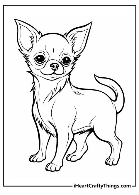 Cute Dog Art Drawing, Chihuahua Sketch Drawing, Chiwawa Dog Drawing, Chiwawa Drawings, Chihuahua Line Art, Chihuahua Drawing Simple, Chiuaua Dog, Chihuahua Doodle, Chihuahua Drawings